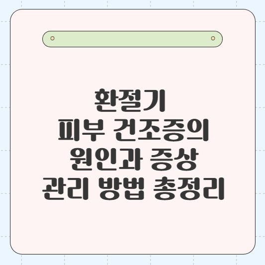 환절기 피부 건조증의 원인과 증상, 그리고 효과적으로 관리하는 방법 총정리