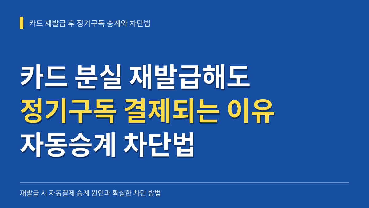 카드 분실신고 재발급해도 정기구독 계속 결제되는 이유와 자동승계 차단법 대표 이미지