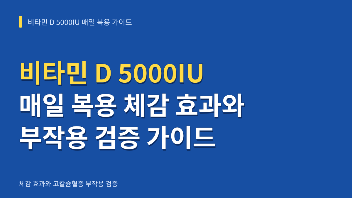 비타민 D 5000IU 매일 복용 디시 후기 분석: 체감 효과와 부작용 검증 가이드 대표 이미지