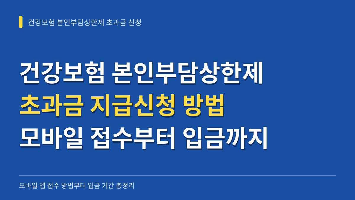 건강보험 본인부담상한제 초과금 지급신청 방법: 모바일 앱 접수부터 입금 기간 총정리 대표 이미지