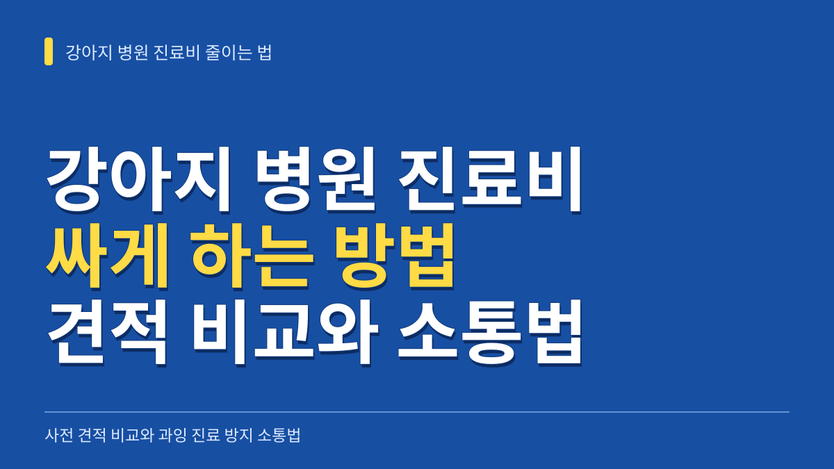 강아지 병원 진료비 싸게 하는 방법: 사전 견적 비교부터 과잉 진료 방지 소통법까지 대표 이미지