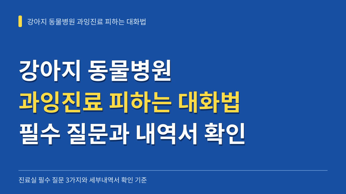 강아지 동물병원 과잉진료 피하는 대화법: 진료실 필수 질문 3가지와 세부내역서 확인 기준 대표 이미지