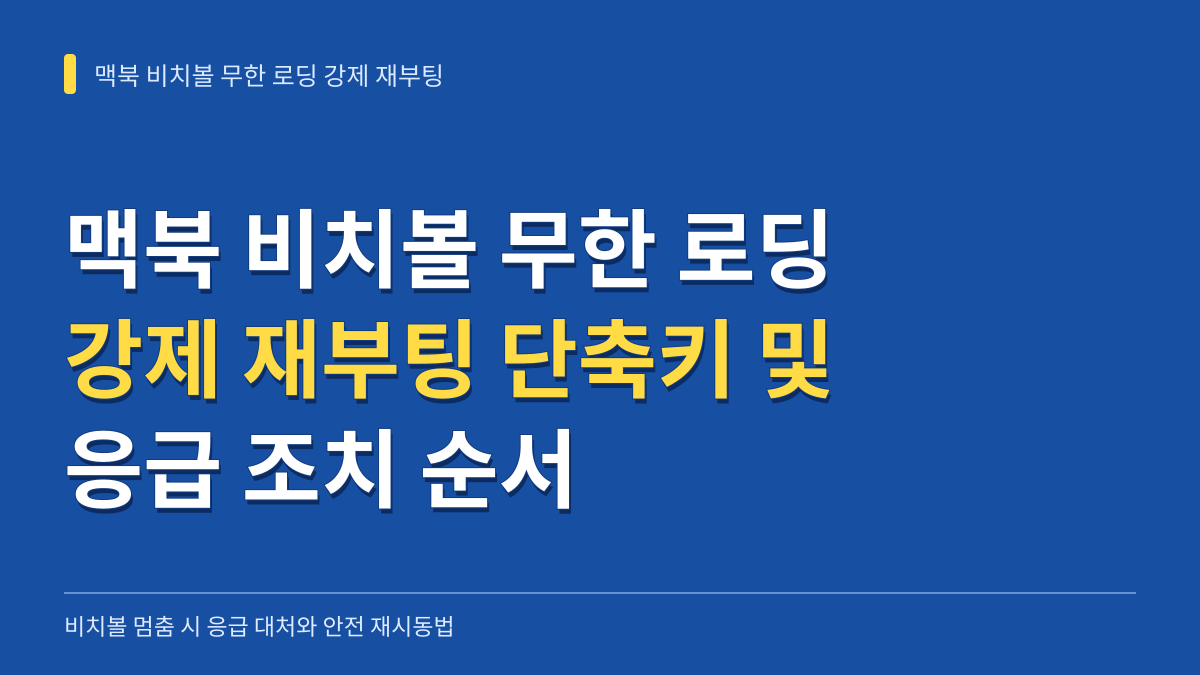 맥북 비치볼 무한 로딩 강제 재부팅 단축키 및 응급 조치 순서 대표 이미지
