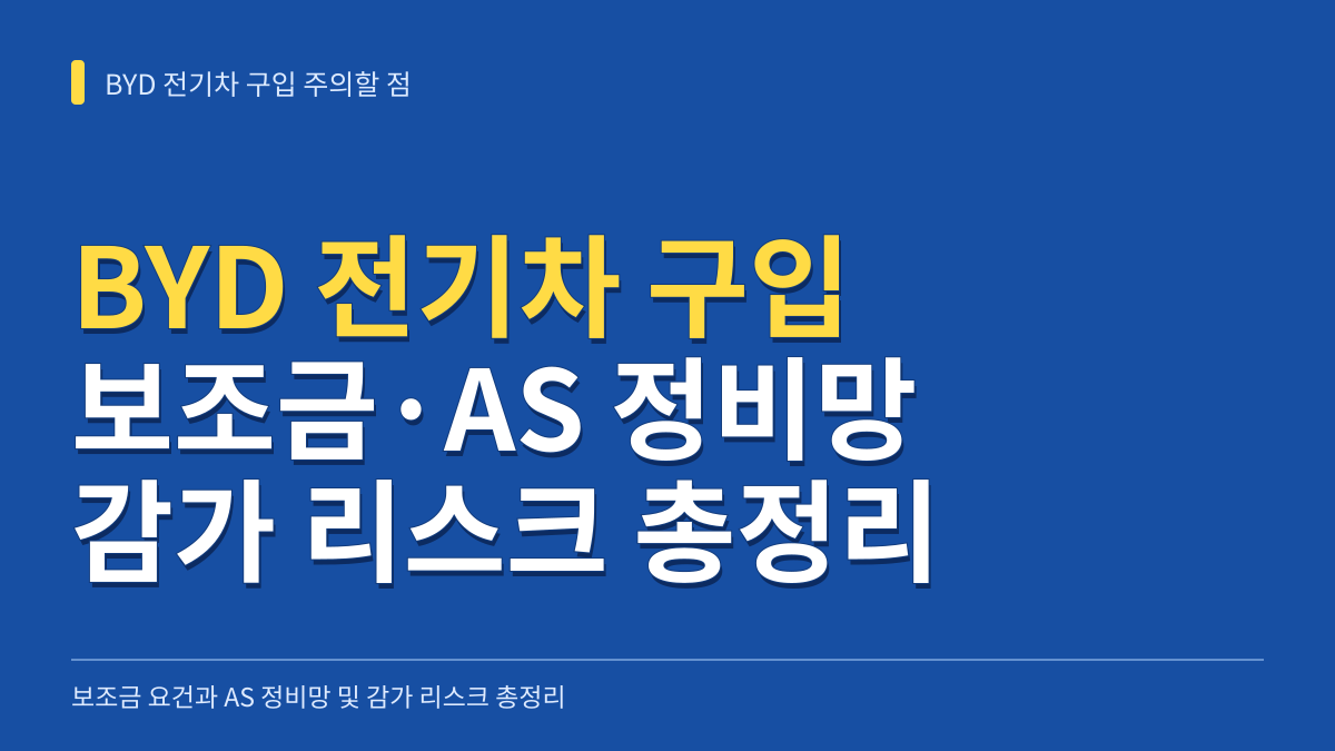BYD 전기차 구입 주의할 점: 보조금 요건과 AS 정비망 및 감가 리스크 총정리 대표 이미지