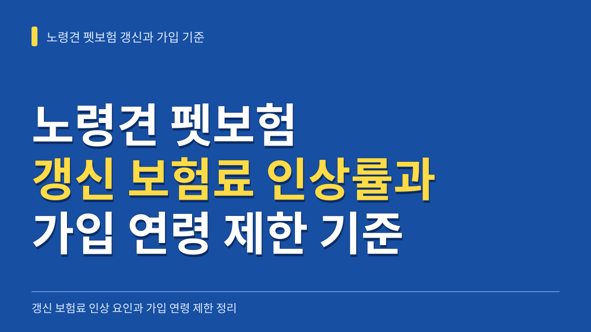 노령견 펫보험 갱신 보험료 인상률과 가입 연령 제한 기준 총정리 대표 이미지