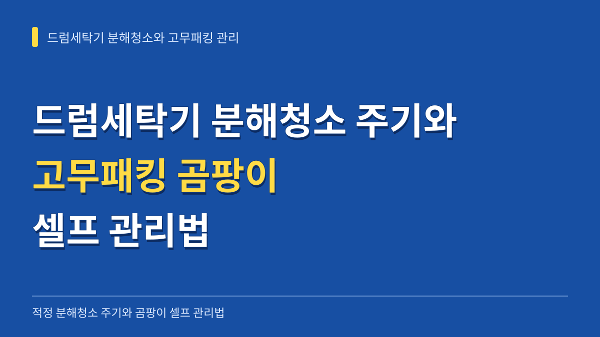 드럼세탁기 분해청소 주기와 고무패킹 곰팡이 셀프 관리법 대표 이미지