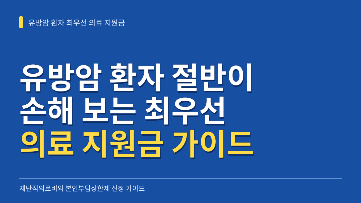 유방암 환자 절반이 손해 보는 최우선 의료 지원금: 재난적의료비와 본인부담상한제 신청 가이드 대표 이미지