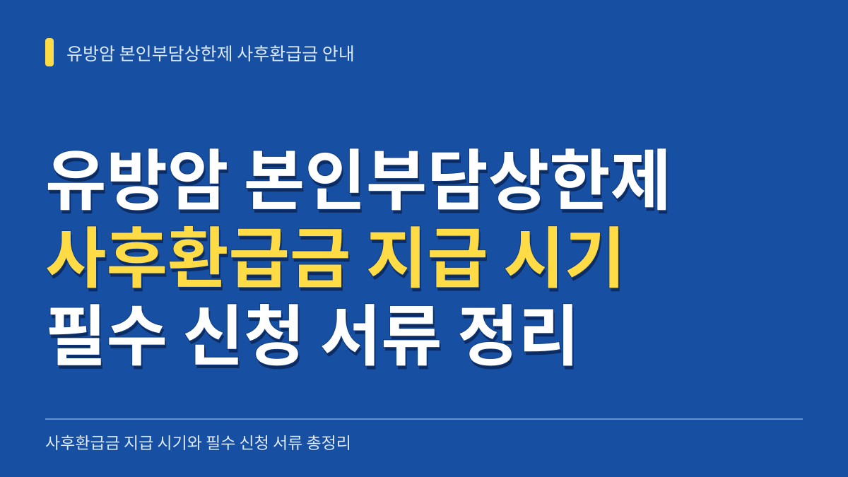 유방암 본인부담상한제 사후환급금 지급 시기와 필수 신청 서류 총정리 대표 이미지