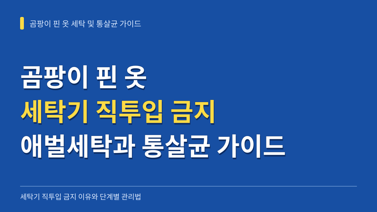 곰팡이 핀 옷 세탁기 직투입 금지 이유와 애벌세탁 및 통살균 4단계 가이드 대표 이미지