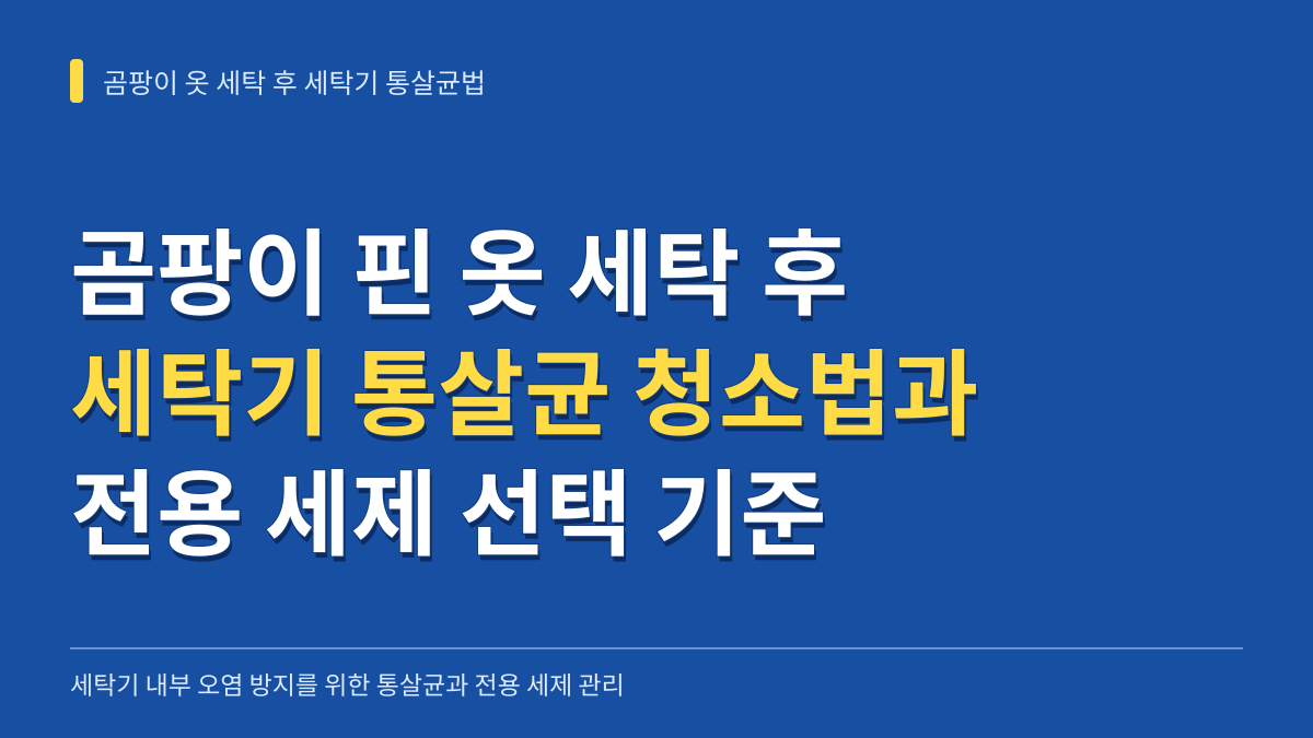 곰팡이 핀 옷 세탁 후 세탁기 통살균 청소법과 전용 세제 선택 기준 대표 이미지