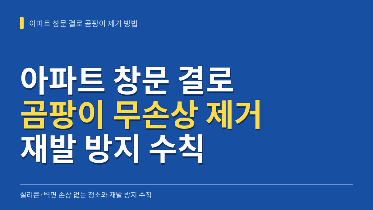 아파트 창문 결로 곰팡이 제거 방법: 실리콘·벽면 손상 없는 청소와 재발 방지 수칙 대표 이미지