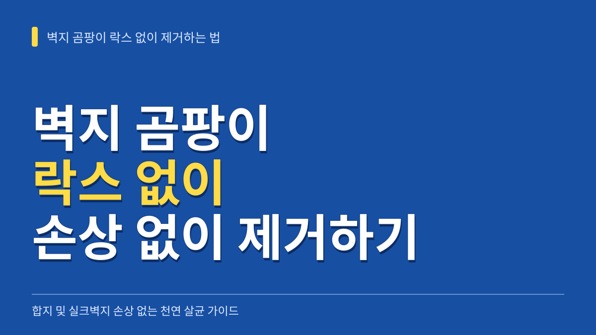 벽지 곰팡이 락스 없이 제거하는 방법: 합지 실크벽지 손상 없는 천연 살균법 대표 이미지