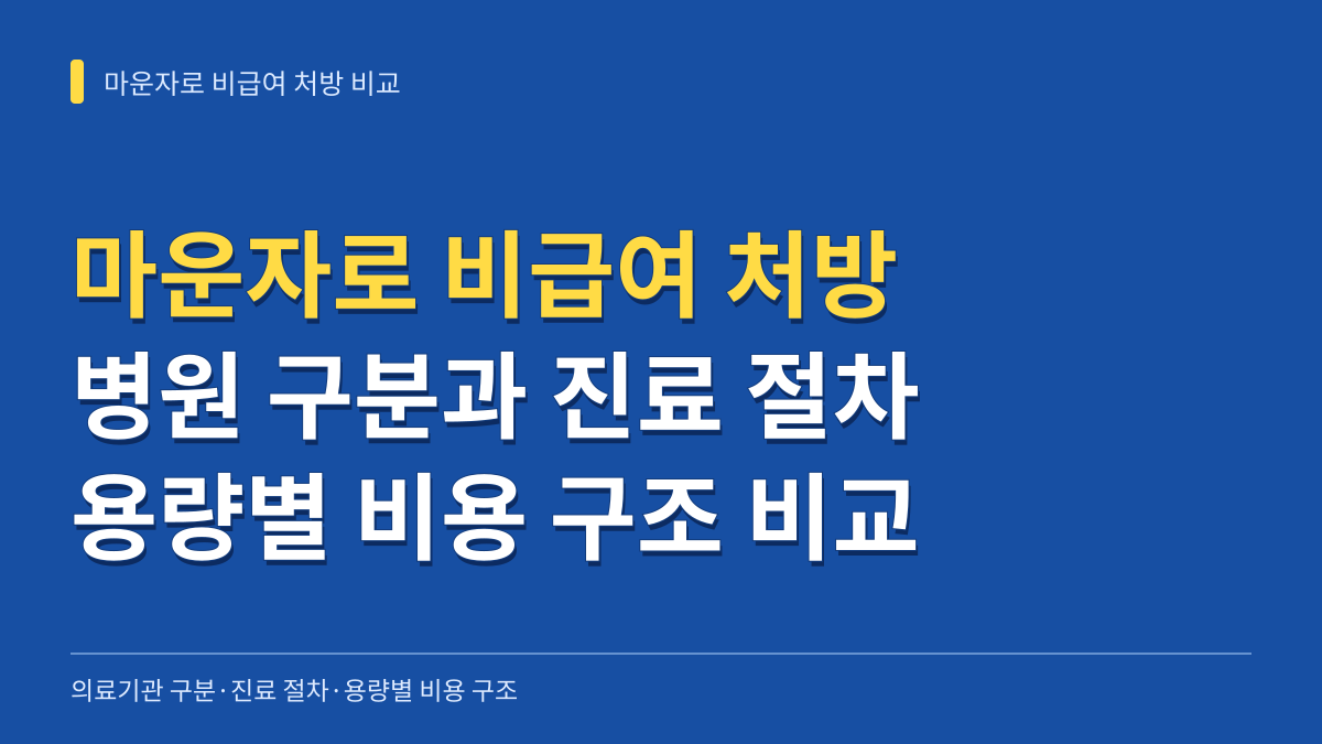 마운자로 비급여 처방 병원 구분과 진료 절차 및 용량별 비용 구조 비교 대표 이미지