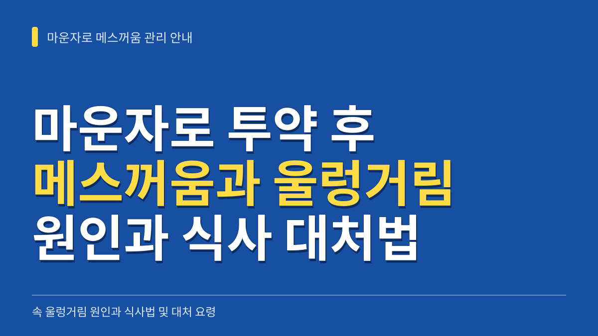 마운자로 메스꺼움 관리 안내: 속 울렁거림 원인과 식사법 및 대처 요령 대표 이미지