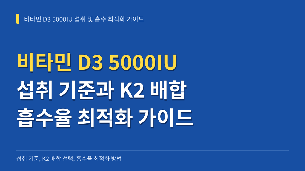 비타민 D3 5000IU 매일 섭취 기준과 K2 배합 선택 및 체내 흡수율 최적화 가이드 대표 이미지