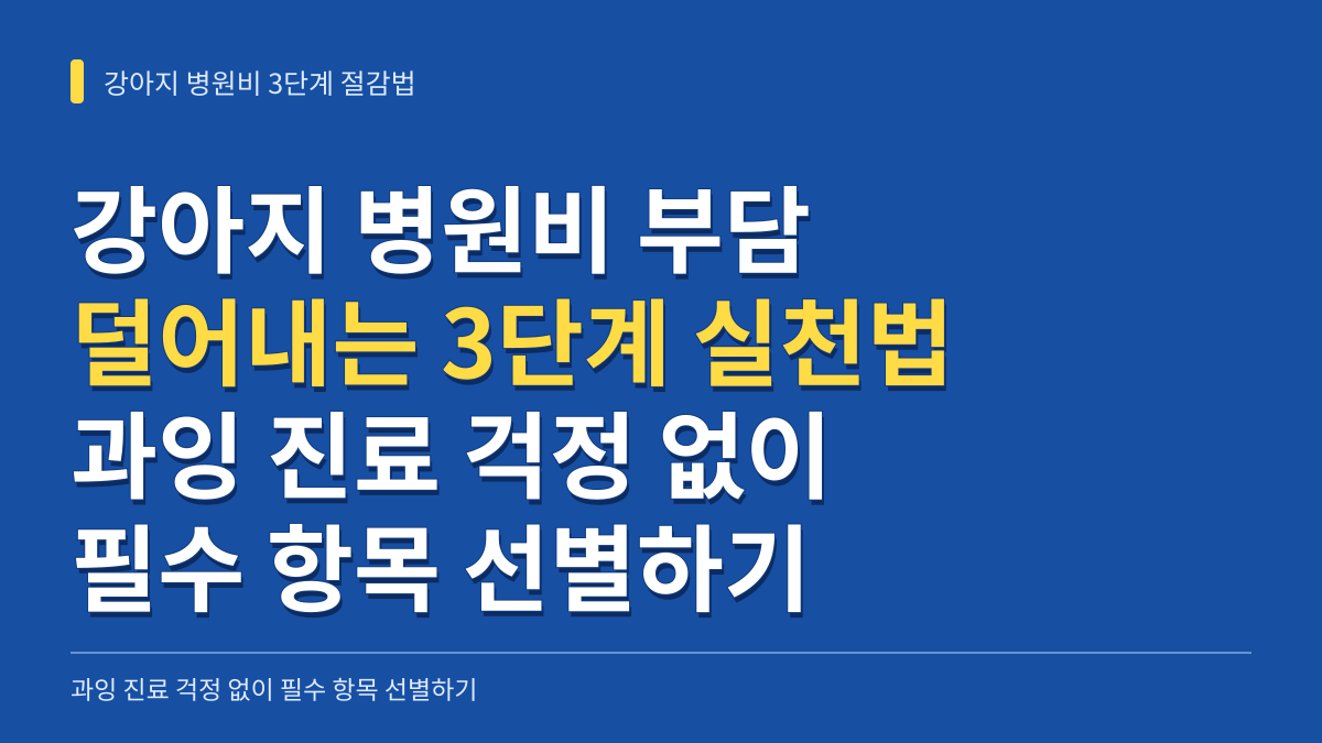 강아지 병원비 부담 덜어내는 3단계 실천법: 과잉 진료 걱정 없이 필수 항목 선별하기 대표 이미지