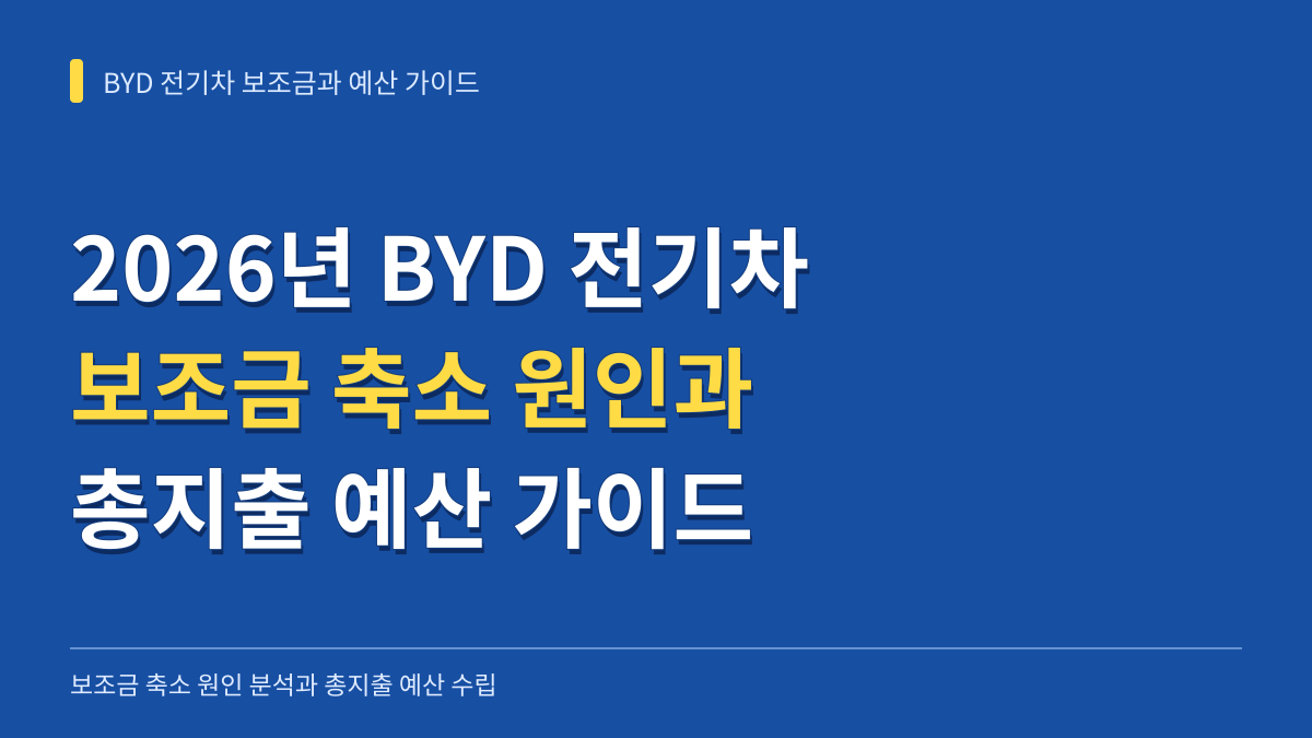 2026년 BYD 전기차 보조금 축소 원인 분석과 총지출 예산 수립 가이드 대표 이미지