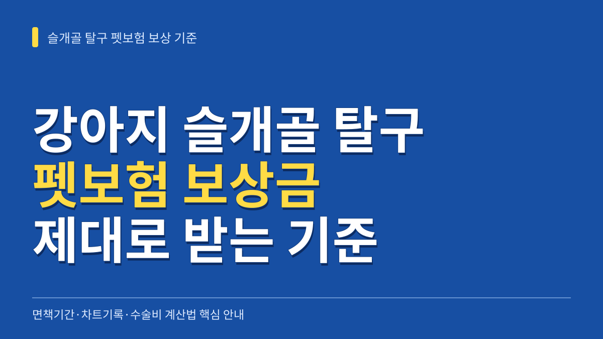 강아지 슬개골 탈구 펫보험 보상금 제대로 받는 3가지 기준: 면책기간·차트기록·수술비 계산법 대표 이미지