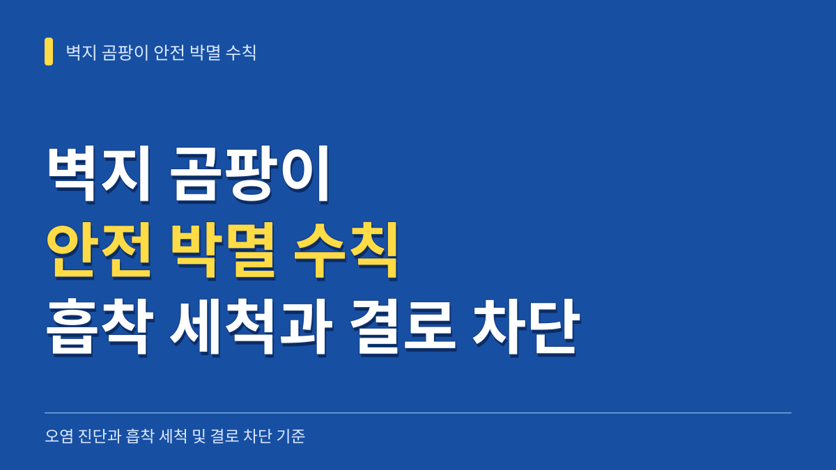 벽지 곰팡이 안전 박멸 수칙: 재질별 오염 한계 진단과 흡착 세척 및 결로 차단법 대표 이미지