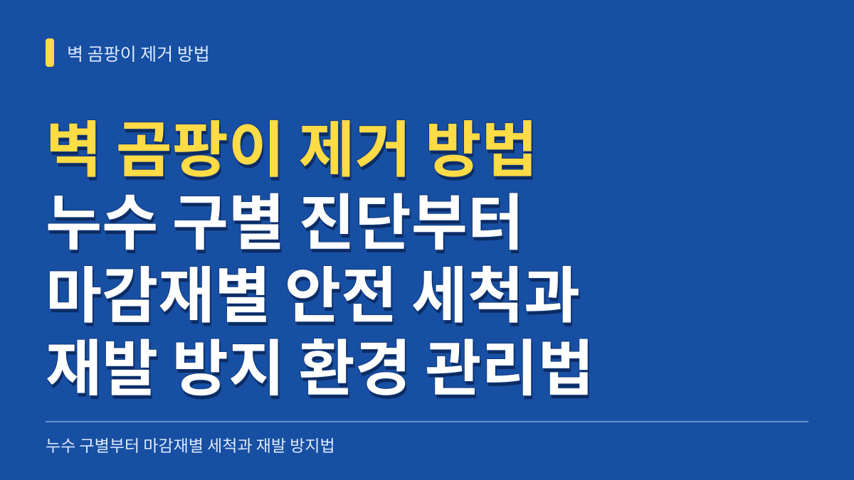 벽 곰팡이 제거 방법: 누수 구별 진단부터 마감재별 세척 순서와 재발 방지 관리법 대표 이미지