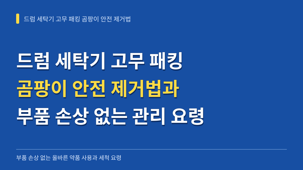 드럼 세탁기 고무 패킹 곰팡이 안전 제거법과 부품 손상 없는 관리 요령 대표 이미지